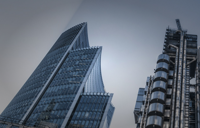 Export & International